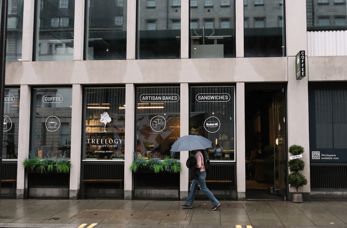 Treelogy Speciality Coffee Paddington