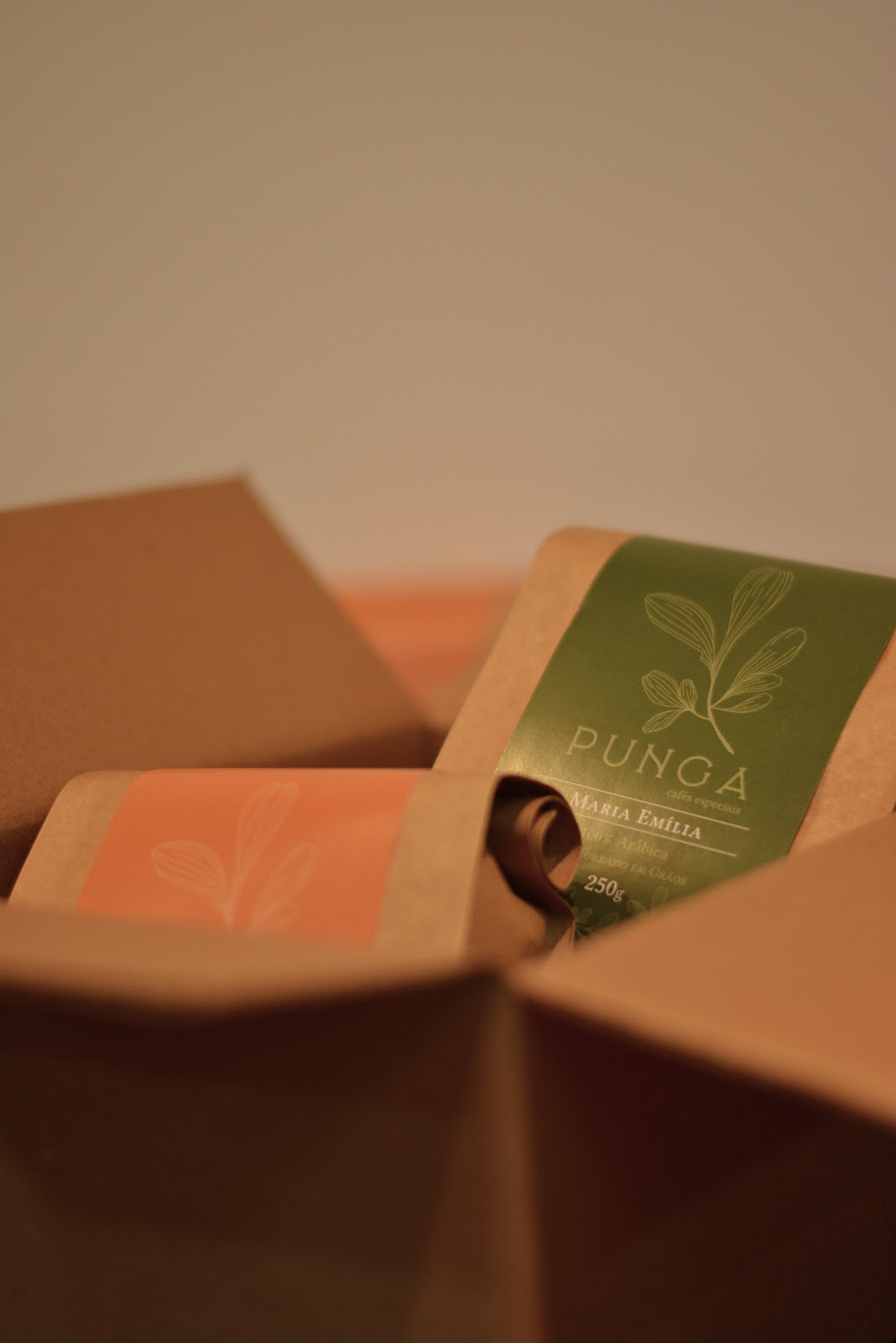 Punga Cafés Especiais