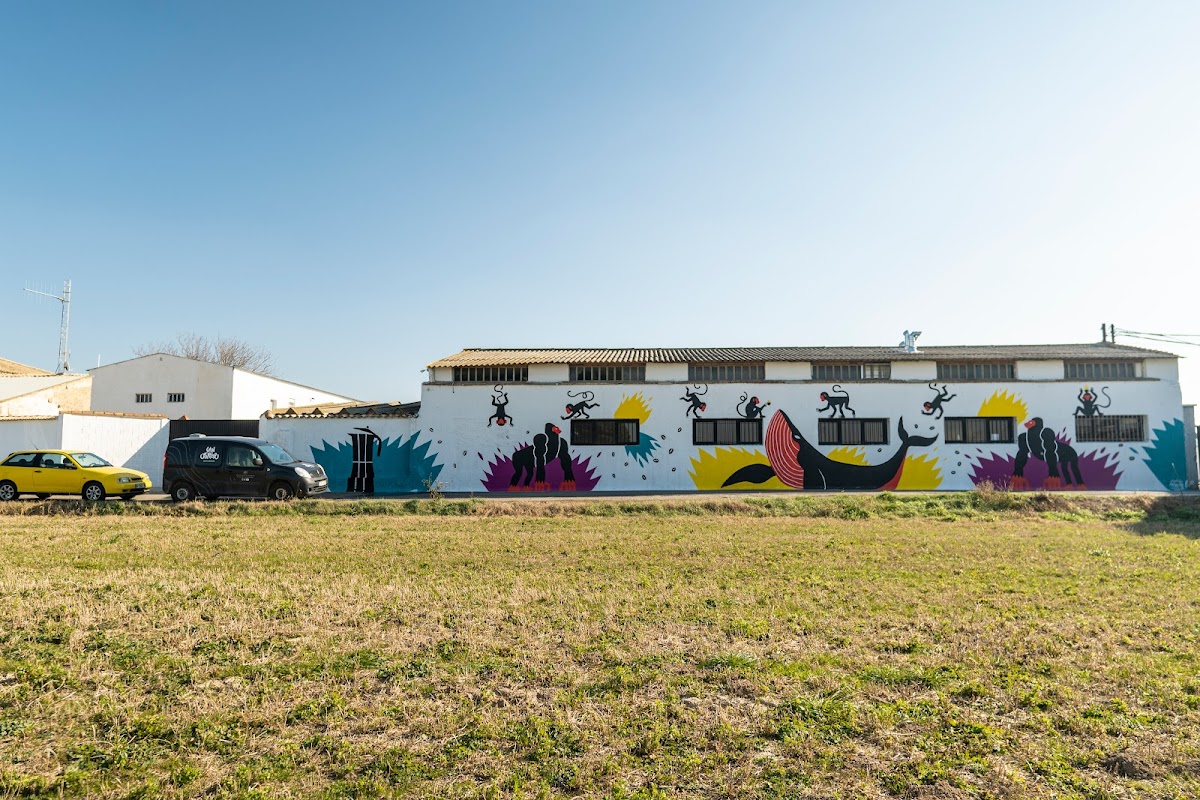 San Jorge | Café del Bueno