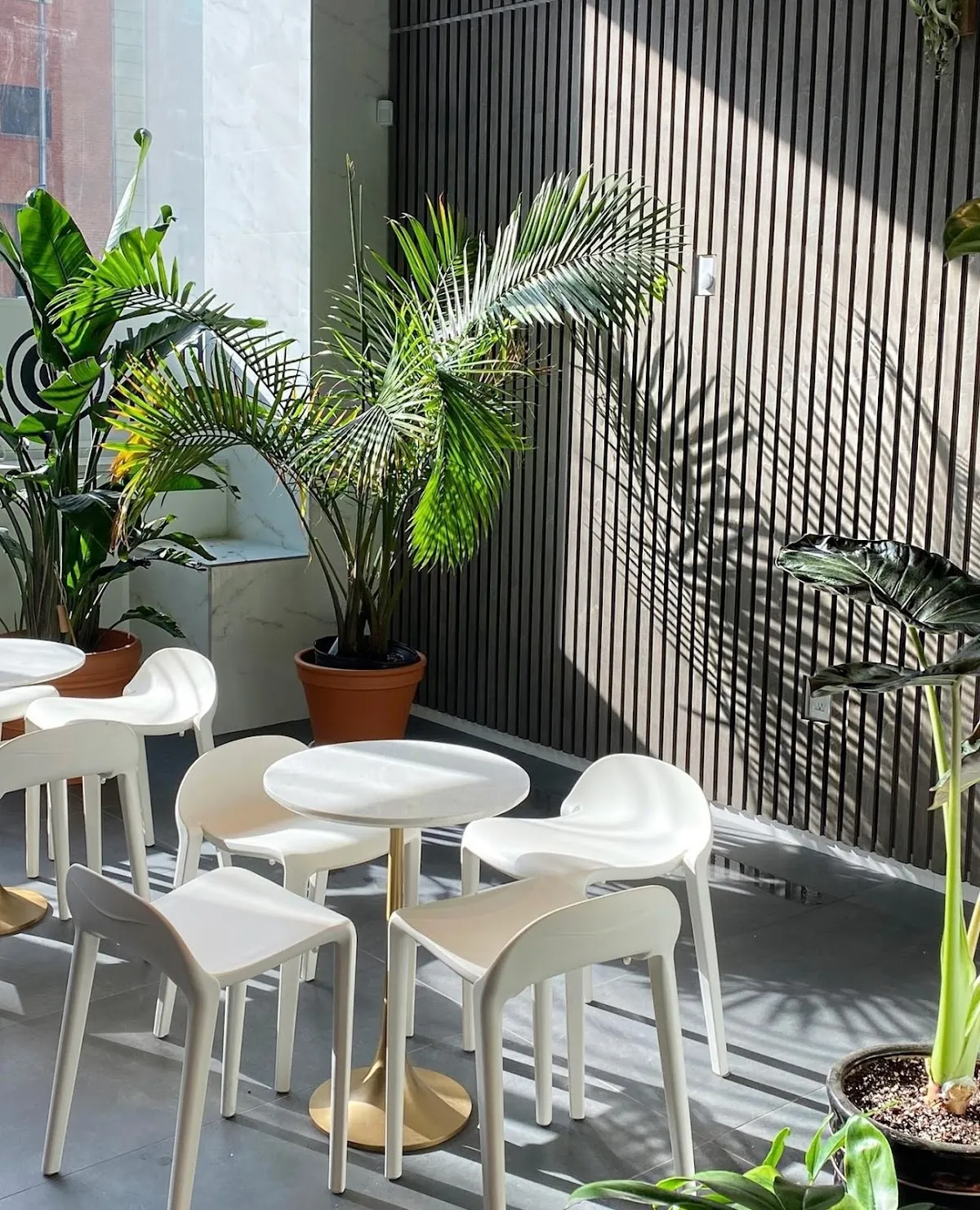 White Noise Coffee - Coffee Shop & Roastery 1