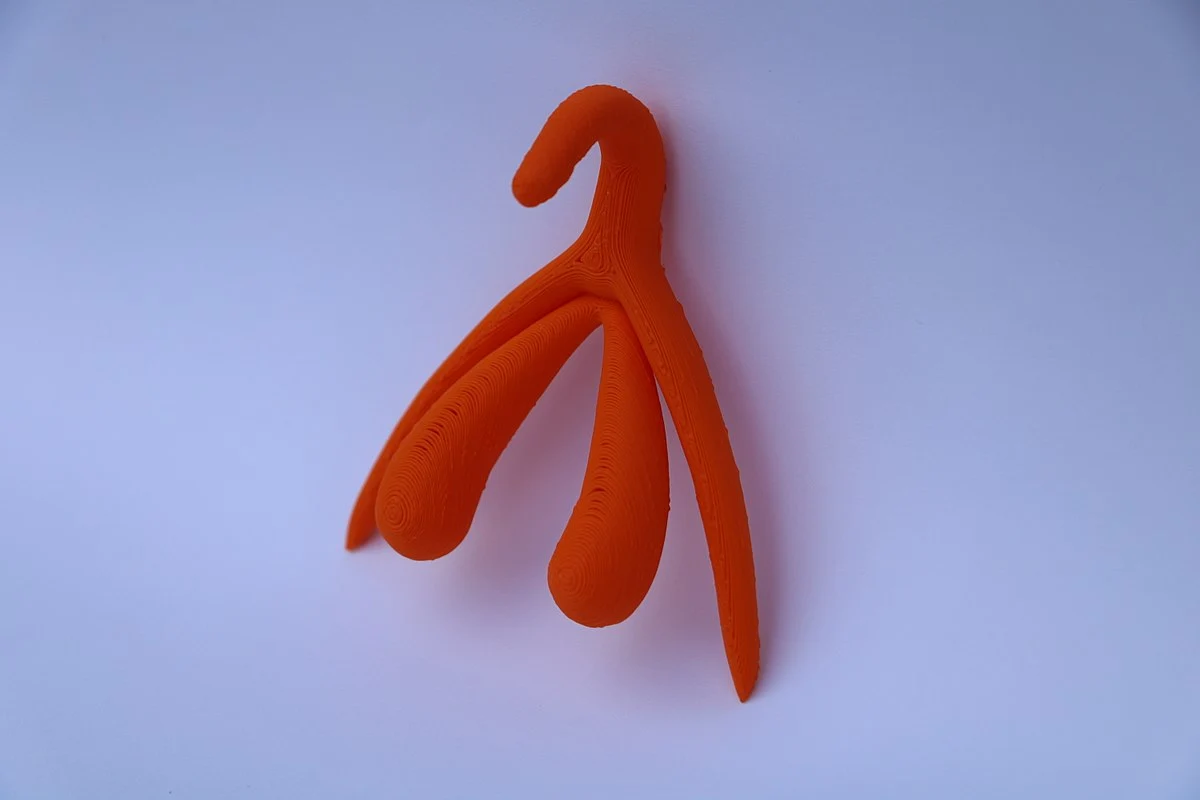 formato. O clitóris 3d