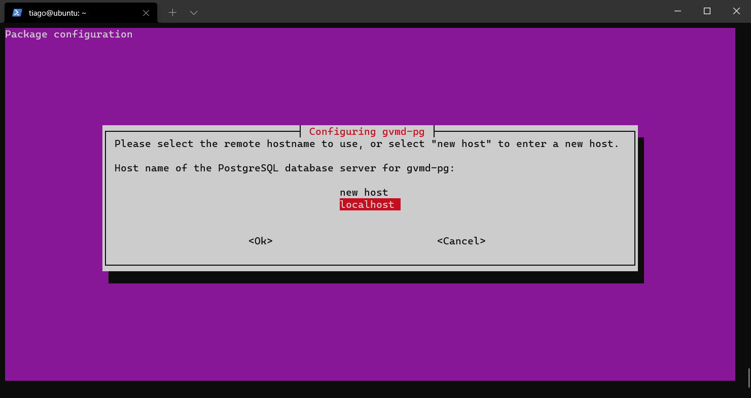 Gestao De Vulnerabilidades Com Greenbone Openvas Ubuntu 20 04 