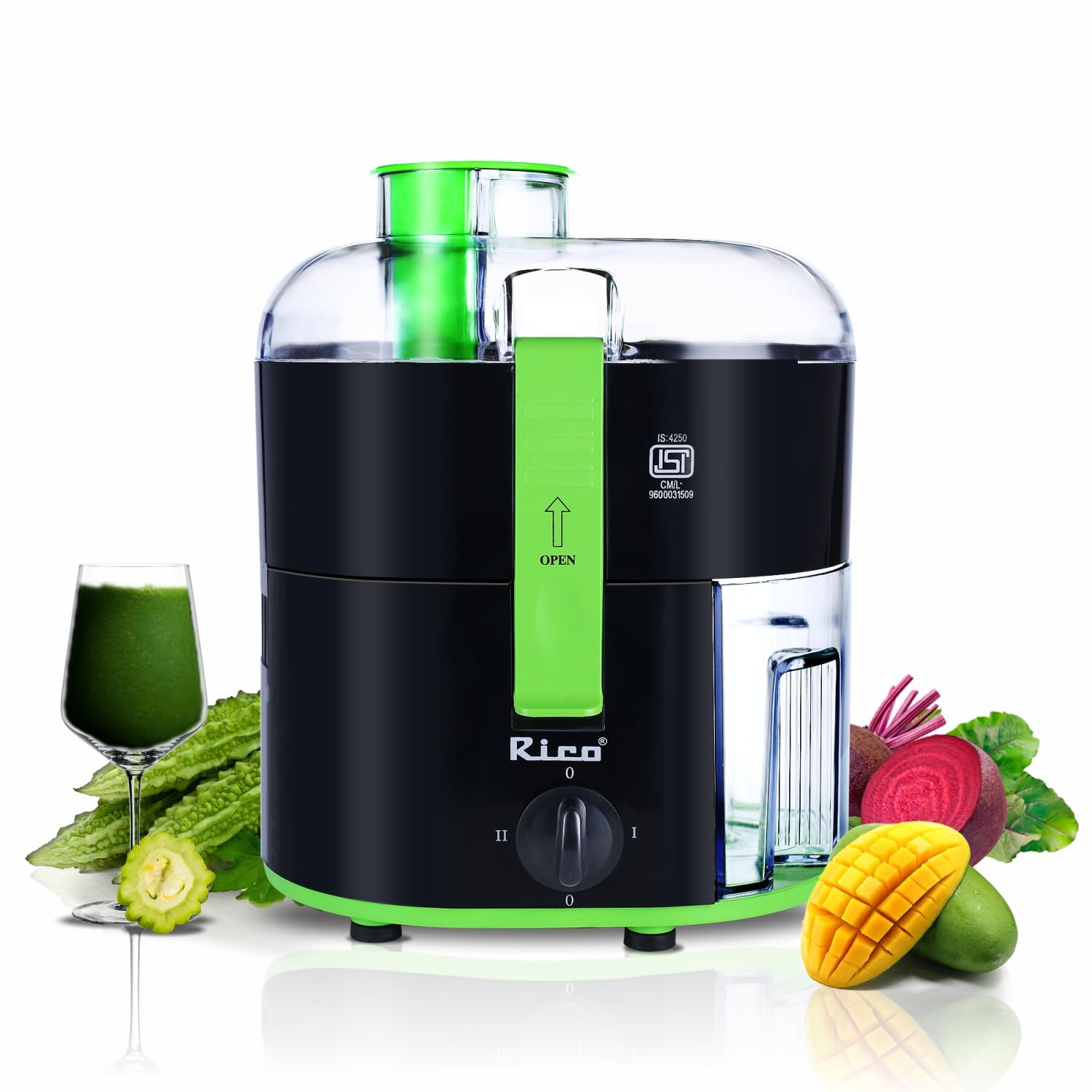 Rico Juicer Mixer Grinder - Image 1
