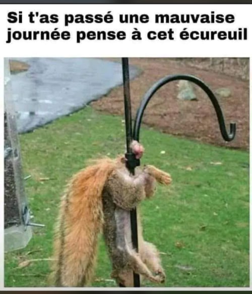 Post Media