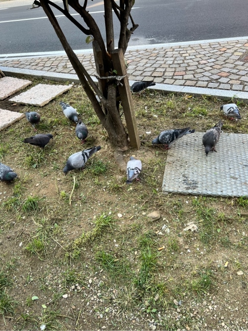 Post Media