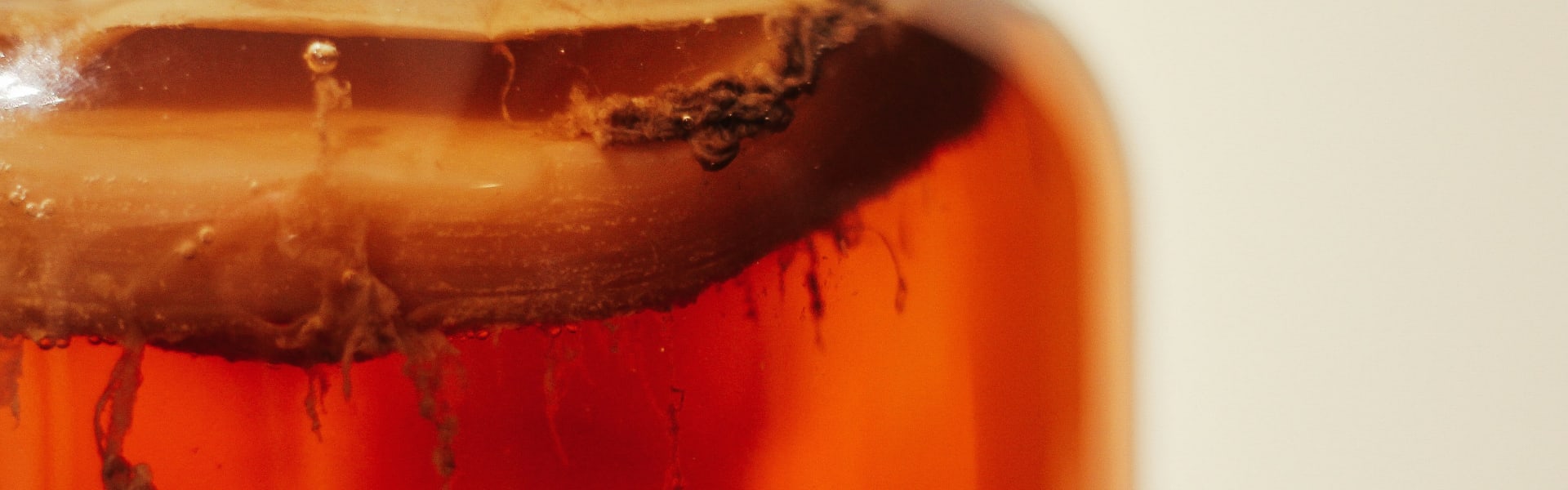 Kombucha arka plan görseli