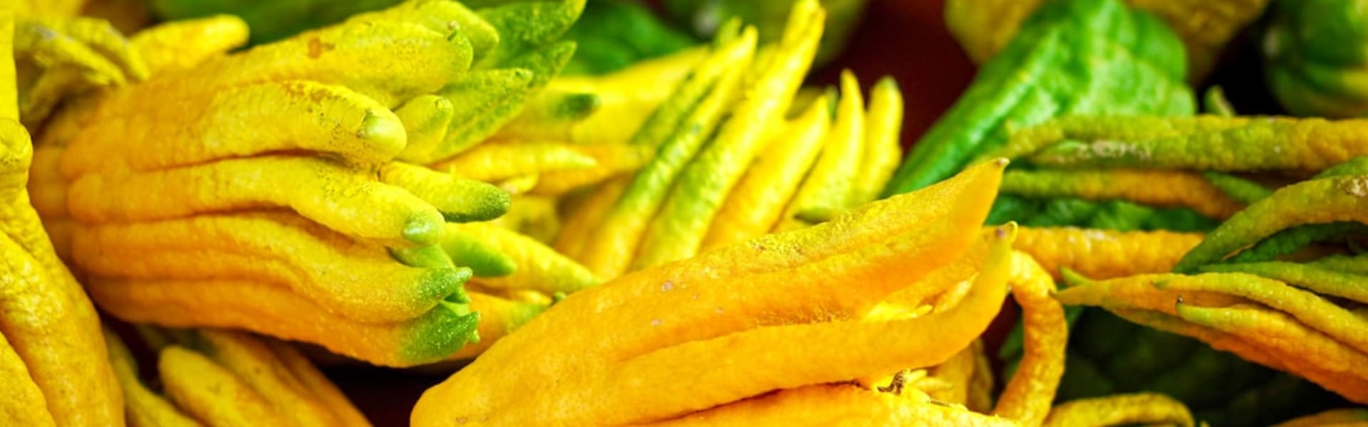 Sarı Mercimek arka plan görseli