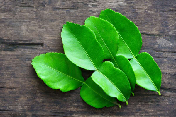 Kaffir Lime Yaprağı