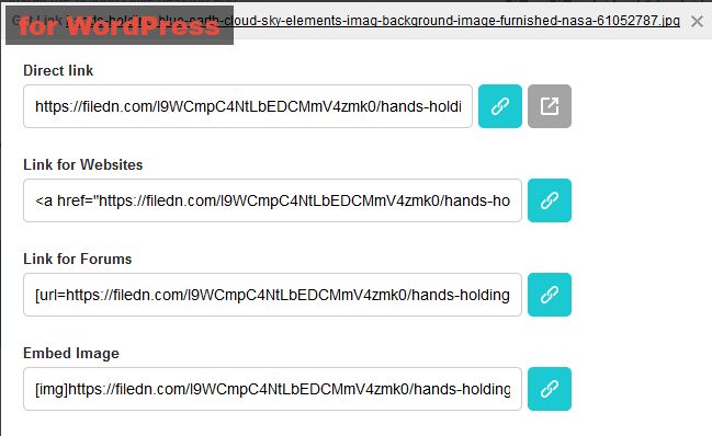 The Latest Pcloud Review For WordPress Has Finally Been Revealed in 2018 3 link-popup