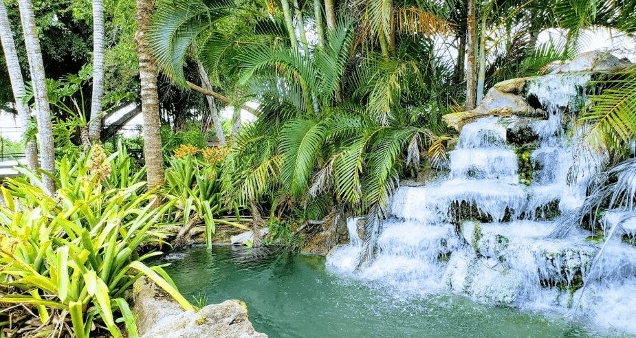 Everglades-National-Park-Places-to-Visit-In-Florida_1