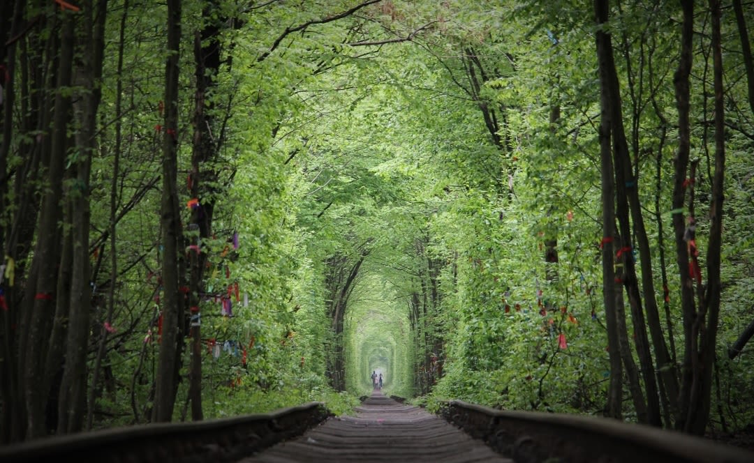 Tunnel of love unreal places in the world