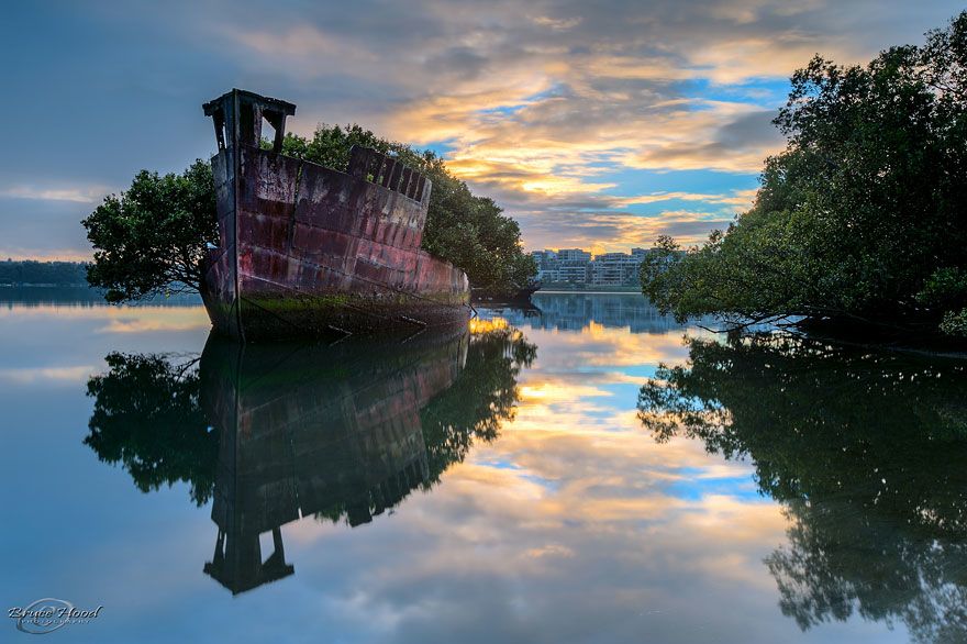 Floating Forest unreal places in the world