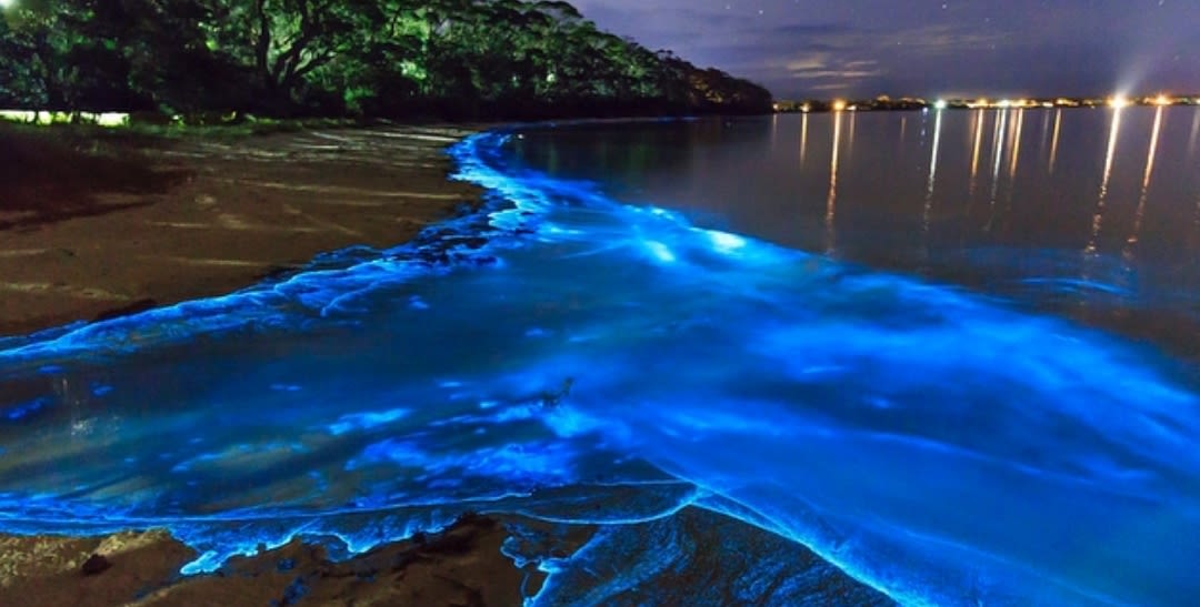 Sea of stars unreal places in the world