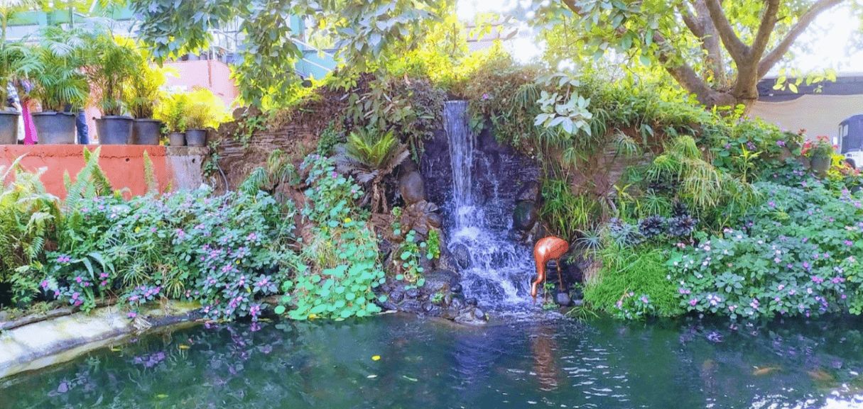 Mapro Garden