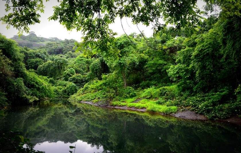 10 Best Places In Maharashtra You Should Visit In This Summer 9 Sanjay-Gandhi-Nation-Park-best-places-in-Maharashtra