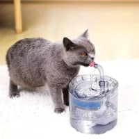 Bebedero Mascotas Automático Perros Gatos Recirculante 2