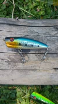 Señuelo de Pesca Popper 6 Cm 8 Gs 4