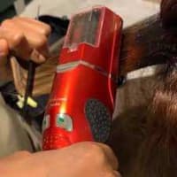 Novatix (corta Puntas de Pelo) 2