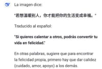 Platito Japonés de Adorno 2