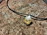 Collar Doble Agata Cordon Bijou 2mm Negro 2