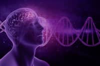 Hipnosis - Hipnosis Online 2