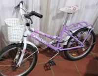 Bicicleta Tomaselli Lady R20 2