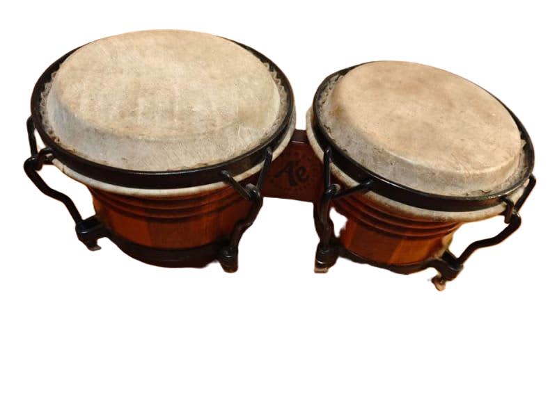 🎶 Bongóes Profesionales Marca A’e – Importados De Cuba