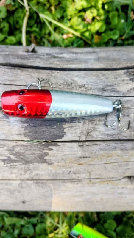 Señuelo de Pesca Popper 6 Cm 8 Gs