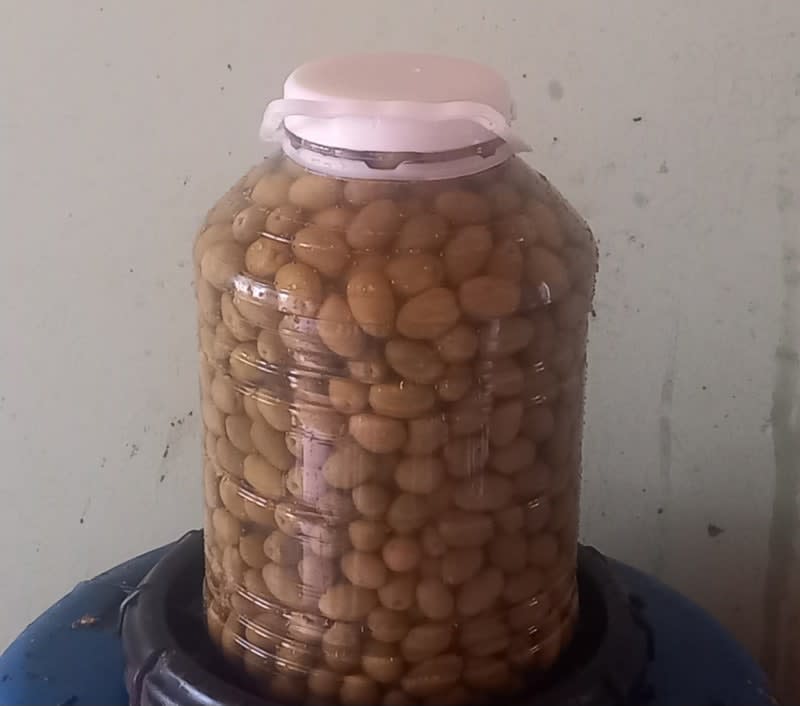 Aceitunas Verdes X 5kg N1 X Mayor