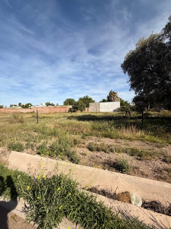 Lote Terreno de 250 Metros en San Rafael Mendoza