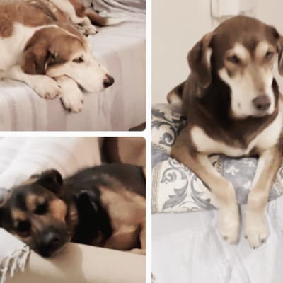 tejidosartesanales2018