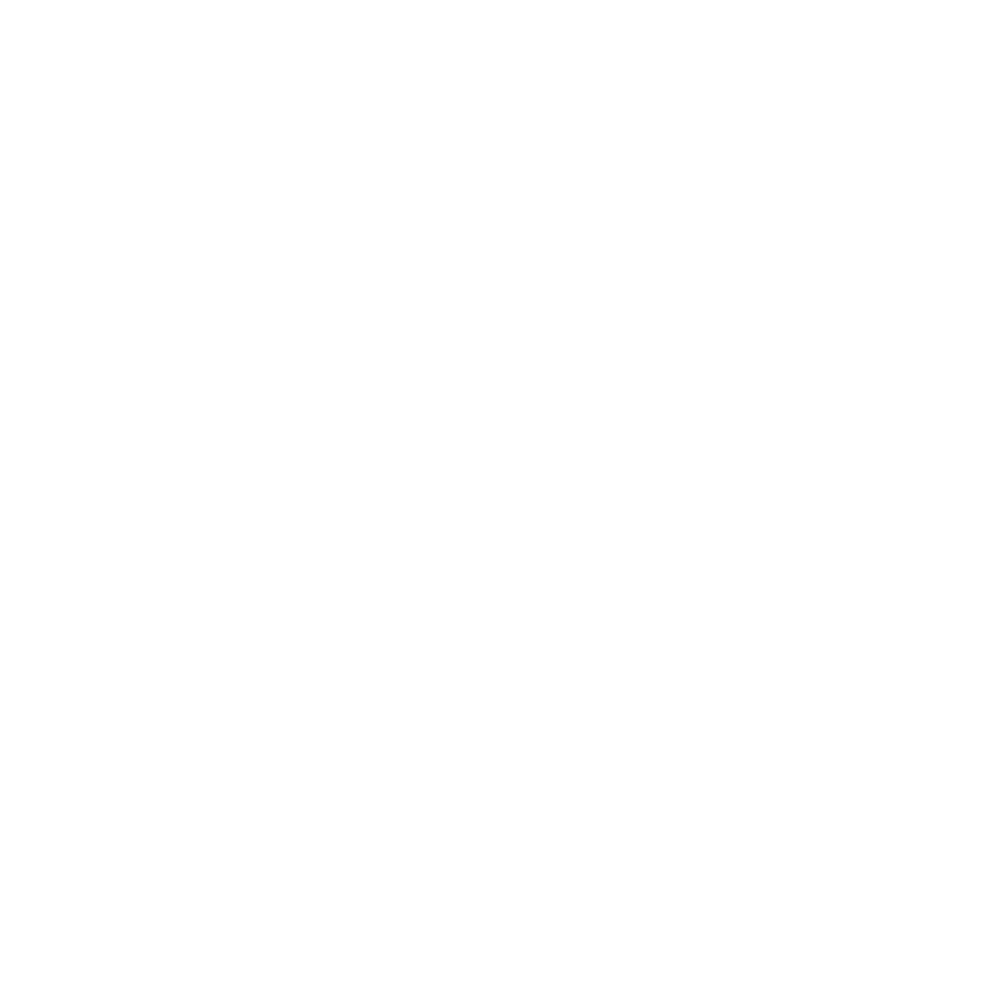 FORTS COMMUNITY LOCK LOGO