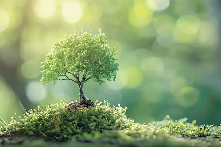 Greeting Cards that are Kind to the Planet!