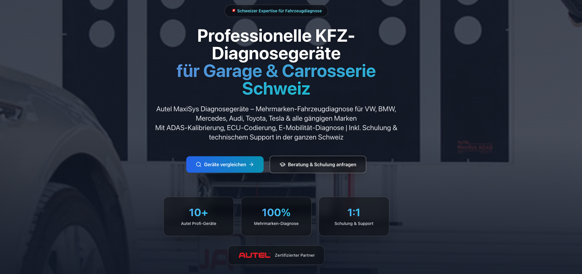 Www Fahrzeugdiagnostik Ch Webseite Screenshot