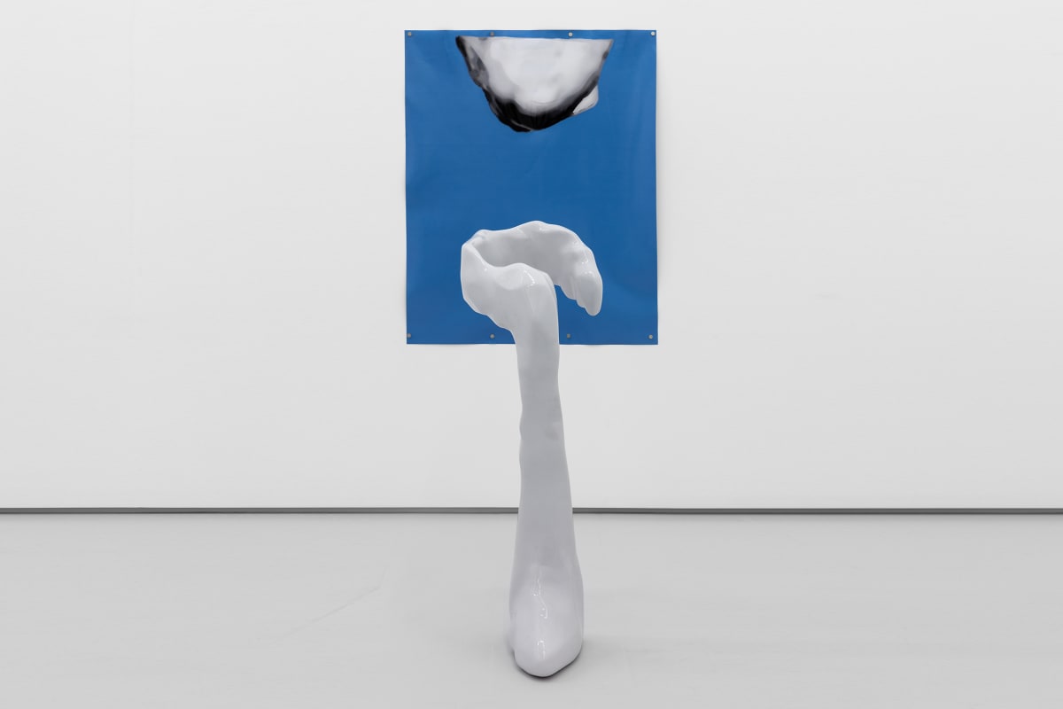 Carlos Arteiro | Serralves Collection