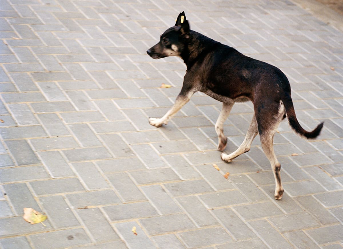 Walking Thru the Sleepy City 2325