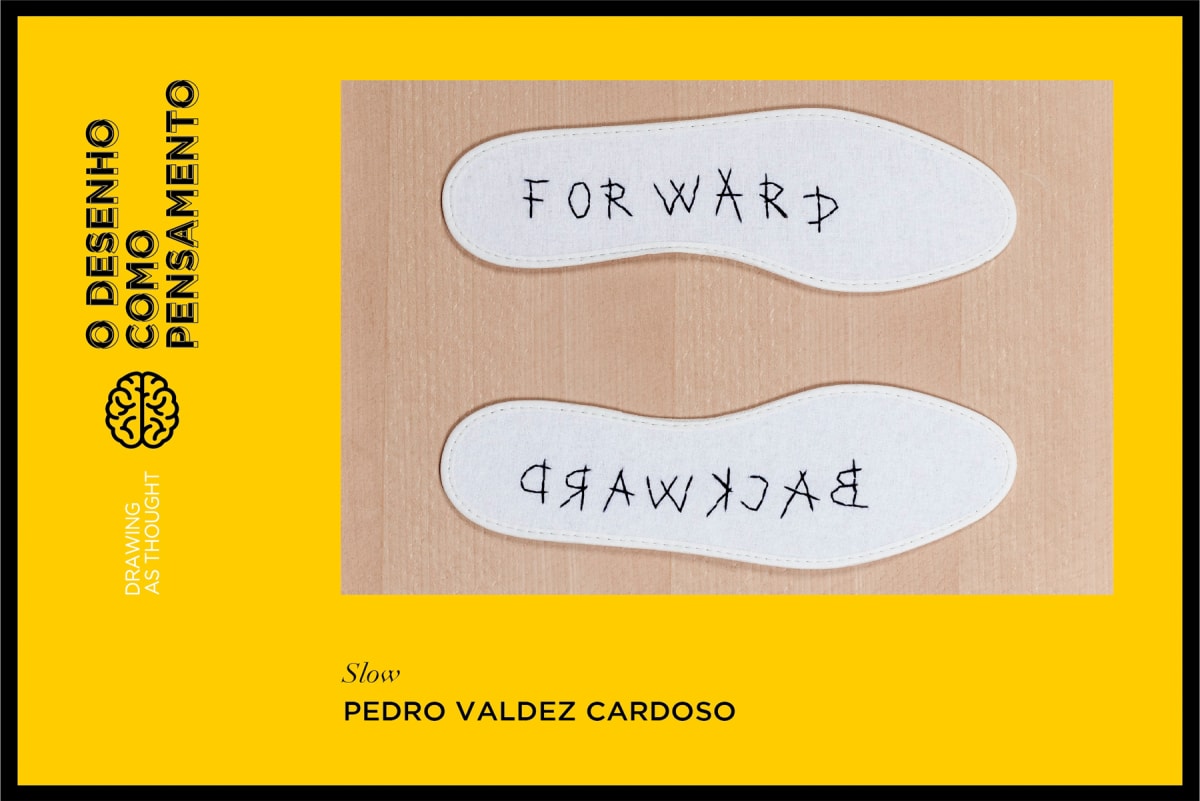 Pedro Valdez Cardoso | CAA Águeda