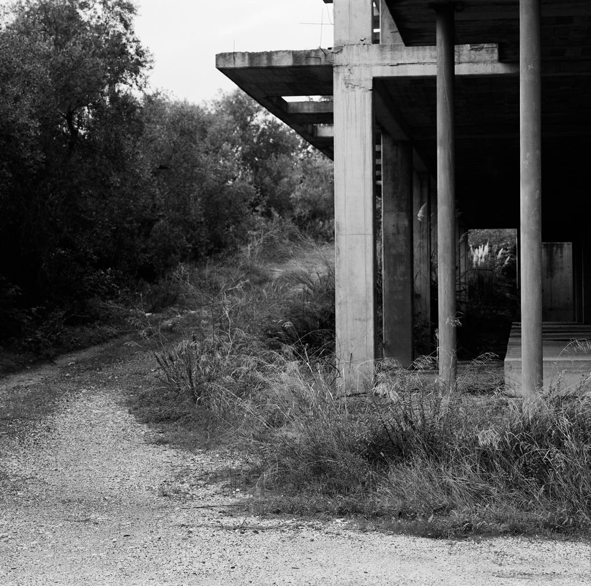 Echoes of a Distant Time #09 3278