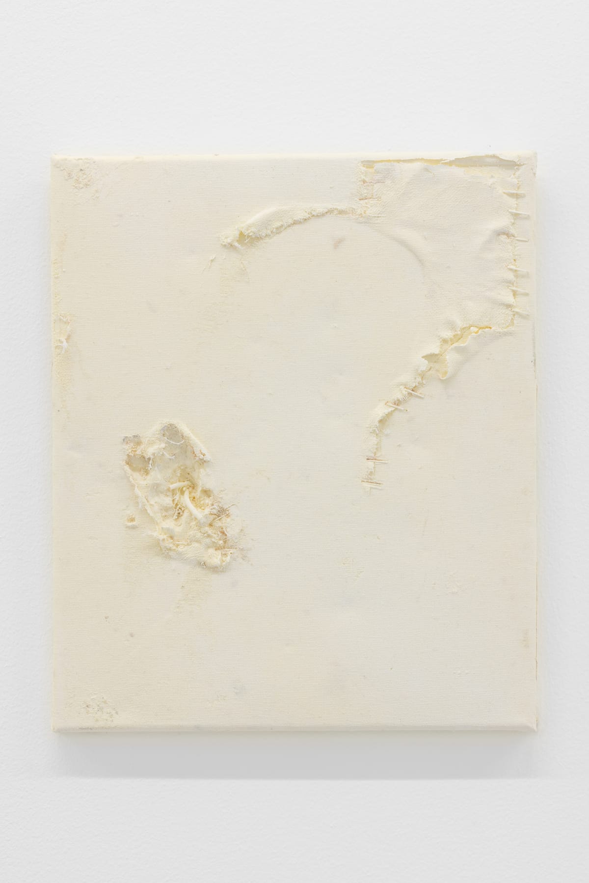 Canvas (Through the Wall) 2041