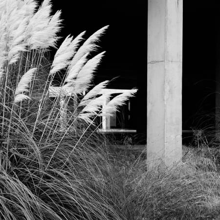 Echoes of a Distant Time #13 3271