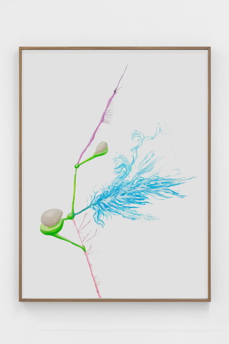 Untitled (Playing with Gravity) 3842