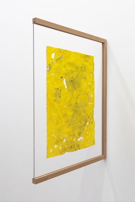 Untitled (Skin of the canvas series) 612
