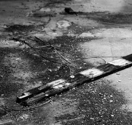 Echoes of a Distant Time #11 3272