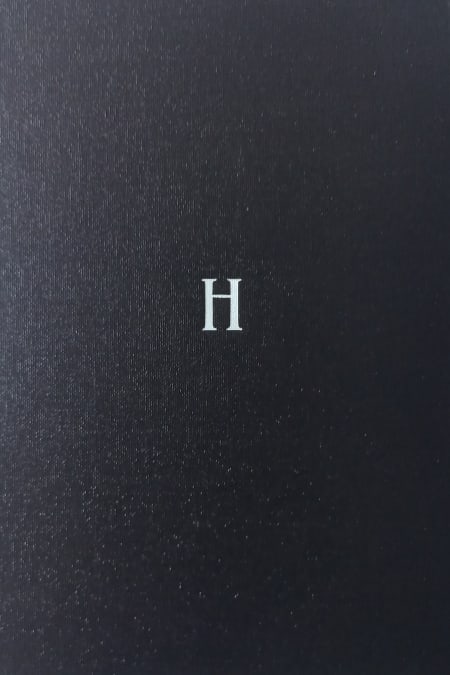 H IS FOR HUNTER 2982