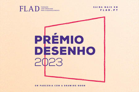 Pedro Valdez Cardoso | Finalistas Prémio FLAD 2023