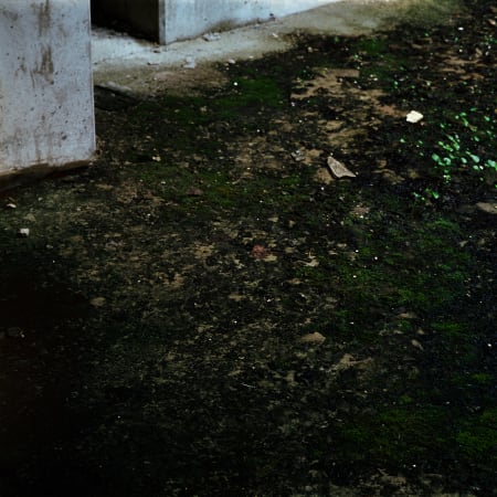 Echoes of a Distant Time #23 3281