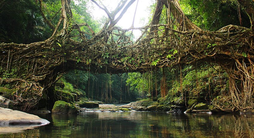 Meghalaya