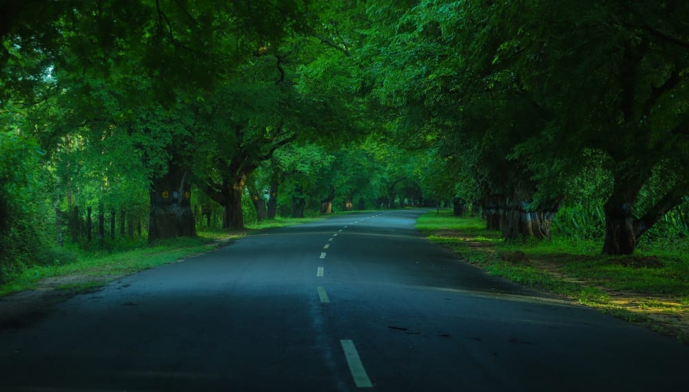 DiSCOVER THE WONDER OF KODAIKKANAL
