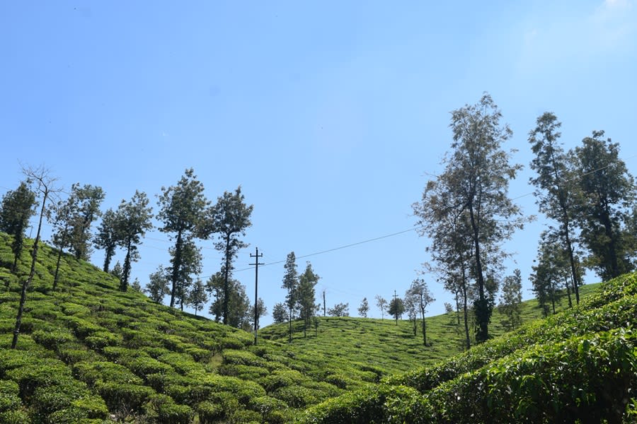 Malakappara