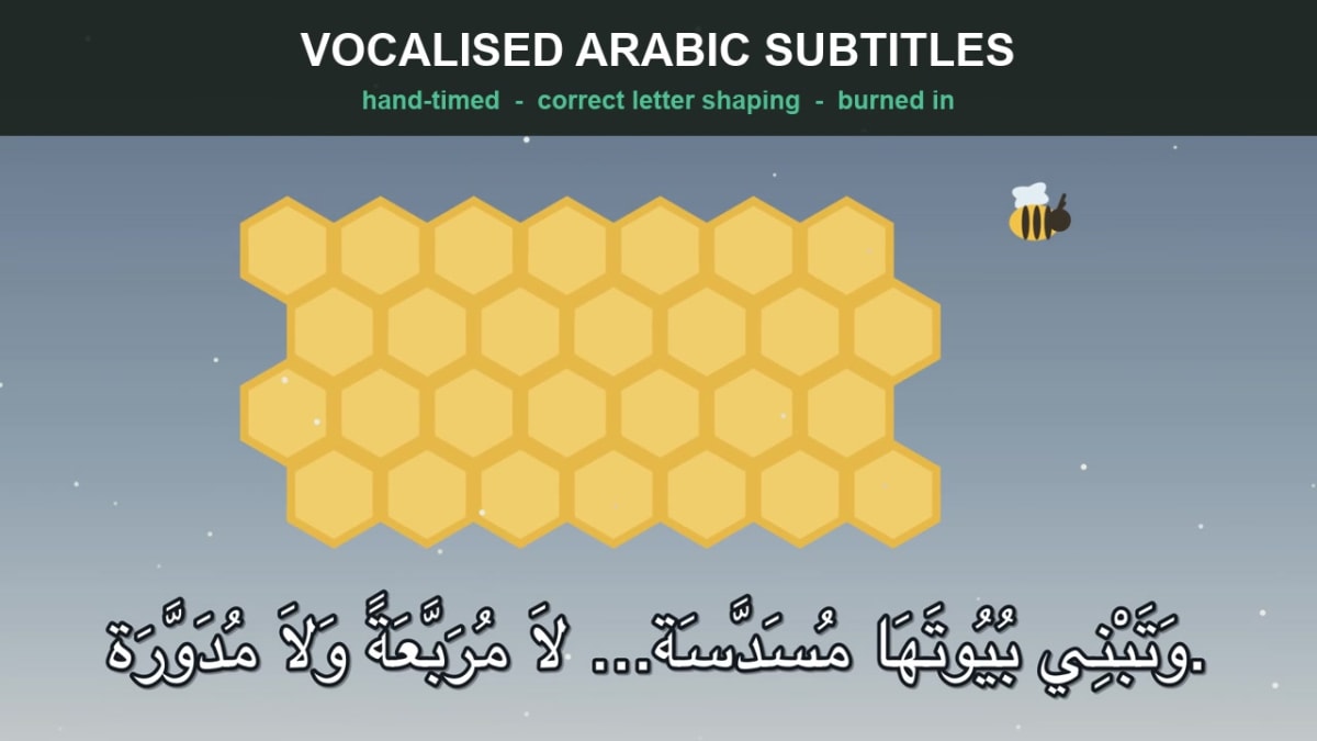 Vocalised Arabic subtitles